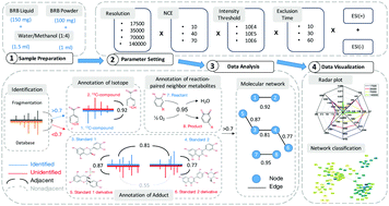 Graphical abstract: Enhanced detection and annotation of small molecules in metabolomics using molecular-network-oriented parameter optimization