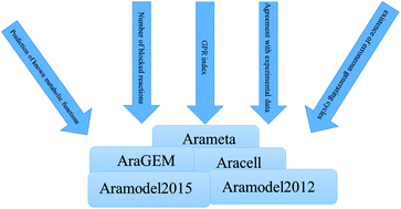 Graphical abstract: Critical assessment of genome-scale metabolic models of Arabidopsis thaliana