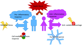 Graphical abstract: Gender-specific association of oxidative stress and immune response in septic shock mortality using NMR-based metabolomics
