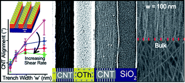 Graphical abstract: Chemical and topographical patterns combined with solution shear for selective-area deposition of highly-aligned semiconducting carbon nanotubes