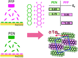 Graphical abstract: Pentacene/perfluoropentacene bilayers on Au(111) and Cu(111): impact of organic–metal coupling strength on molecular structure formation