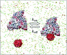 Graphical abstract: Biomolecular interactions of ultrasmall metallic nanoparticles and nanoclusters