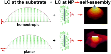 Graphical abstract: Orientational self-assembly of nanoparticles in nematic droplets