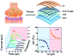 Graphical abstract: Flexible and transparent memristive synapse based on polyvinylpyrrolidone/N-doped carbon quantum dot nanocomposites for neuromorphic computing