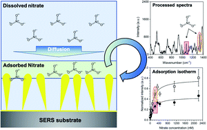 Graphical abstract: In situ SERS detection of dissolved nitrate on hydrated gold substrates