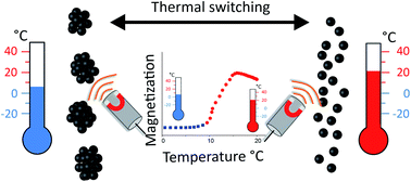 Graphical abstract: Reversible magnetism switching of iron oxide nanoparticle dispersions by controlled agglomeration