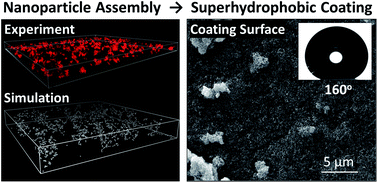 Graphical abstract: Biobased superhydrophobic coating enabled by nanoparticle assembly
