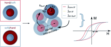 Graphical abstract: Interplay between inter- and intraparticle interactions in bi-magnetic core/shell nanoparticles