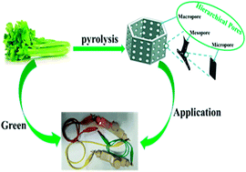 Graphical abstract: Celery-derived porous carbon materials for superior performance supercapacitors