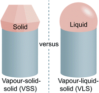 Graphical abstract: Vapor–solid–solid growth dynamics in GaAs nanowires