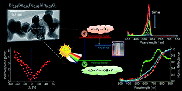 Graphical abstract: Role of cooperative factors in the photocatalytic activity of Ba and Mn doped BiFeO3 nanoparticles