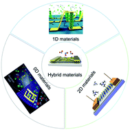 Graphical abstract: High-performance electrically transduced hazardous gas sensors based on low-dimensional nanomaterials