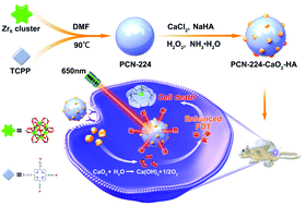 Graphical abstract: Metal–organic framework combined with CaO2 nanoparticles for enhanced and targeted photodynamic therapy