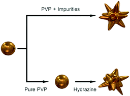 Graphical abstract: Impurities in polyvinylpyrrolidone: the key factor in the synthesis of gold nanostars
