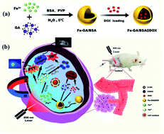 Graphical abstract: pH-responsive hollow Fe–gallic acid coordination polymer for multimodal synergistic-therapy and MRI of cancer