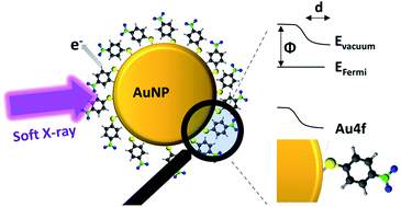 Graphical abstract: The electronic structure of the metal–organic interface of isolated ligand coated gold nanoparticles