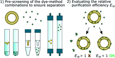 Graphical abstract: Addressing challenges in the removal of unbound dye from passively labelled extracellular vesicles