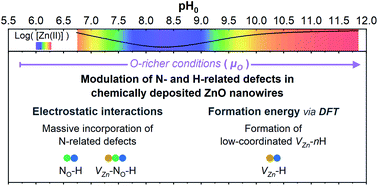 Graphical abstract: Modulating the growth of chemically deposited ZnO nanowires and the formation of nitrogen- and hydrogen-related defects using pH adjustment