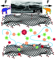 Graphical abstract: Ultratough and ultrastrong graphene oxide hybrid films via a polycationitrile approach