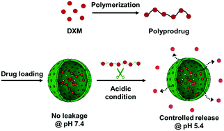 Graphical abstract: Encapsulation of polyprodrugs enables an efficient and controlled release of dexamethasone