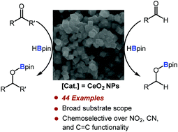 Graphical abstract: CeO2–nanocubes as efficient and selective catalysts for the hydroboration of carbonyl groups