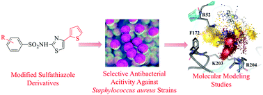 Graphical abstract: Design, synthesis, antibacterial activity evaluation and molecular modeling studies of new sulfonamides containing a sulfathiazole moiety