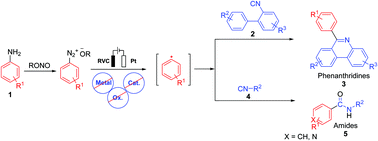 Graphical abstract: Catalyst-free synthesis of phenanthridines via electrochemical coupling of 2-isocyanobiphenyls and amines