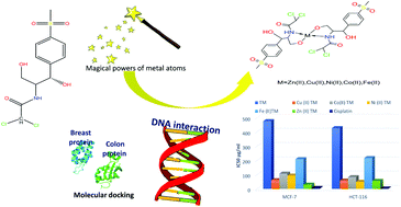 Graphical abstract: Synthesis and theoretical calculations of metal-antibiotic chelation with thiamphenicol: in vitro DNA and HSA binding, molecular docking, and cytotoxicity studies