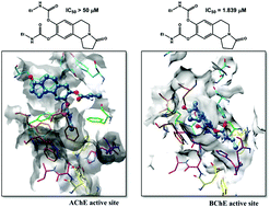 Graphical abstract: Design, synthesis, biological evaluation and molecular modelling of substituted pyrrolo[2,1-a]isoquinolinone derivatives: discovery of potent inhibitors of AChE and BChE