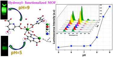 Graphical abstract: pH response of a hydroxyl-functionalized luminescent metal–organic framework based phosphor