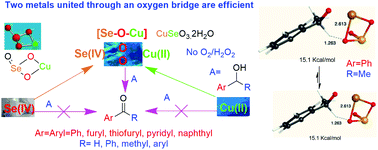 Graphical abstract: The dehydrogenative oxidation of aryl methanols using an oxygen bridged [Cu–O–Se] bimetallic catalyst