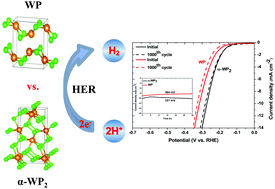 Graphical abstract: Phase-dependent electrocatalytic activity of colloidally synthesized WP and α-WP2 electrocatalysts for hydrogen evolution reaction