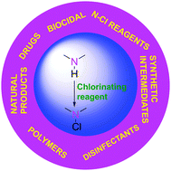Graphical abstract: Recent advances in the synthesis of organic chloramines and their insights into health care