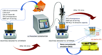 Graphical abstract: Fabrication of a narrow size nano curcuminoid emulsion by combining phase inversion temperature and ultrasonication: preparation and bioactivity