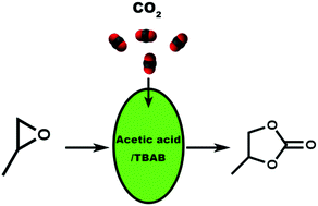 Graphical abstract: Aliphatic carboxylic acid as a hydrogen-bond donor for converting CO2 and epoxide into cyclic carbonate under mild conditions