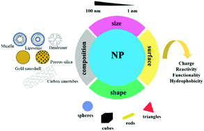 Graphical abstract: Current understanding of nanoparticle toxicity mechanisms and interactions with biological systems