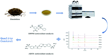 Graphical abstract: Quality and antioxidant activity evaluation of dandelion by HPLC with five-wavelength fusion fingerprint