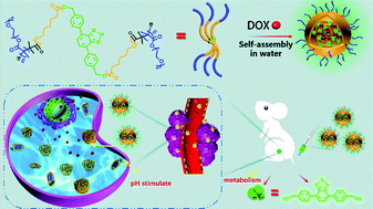Graphical abstract: Robust fluorescent amphiphilic polymer micelle for drug carrier application