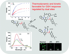 Graphical abstract: Dual modulation sites for a reversible fluorescent probe for GSH over Cys/Hcy