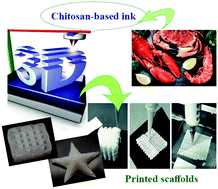Graphical abstract: Current achievements in 3D bioprinting technology of chitosan and its hybrids