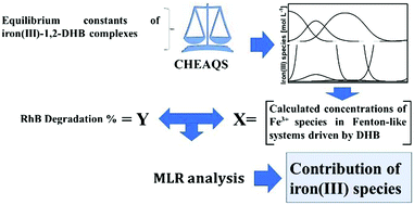Graphical abstract: Determination of equilibrium constants of iron(iii)-1,2-dihydroxybenzene complexes and the relationship between calculated iron speciation and degradation of rhodamine B