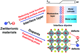 Graphical abstract: Zwitterions: promising interfacial/doping materials for organic/perovskite solar cells