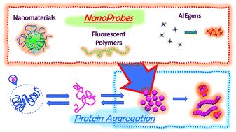 Graphical abstract: Protein aggregation detection with fluorescent macromolecular and nanostructured probes: challenges and opportunities