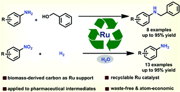 Graphical abstract: Biorenewable carbon-supported Ru catalyst for N-alkylation of amines with alcohols and selective hydrogenation of nitroarenes