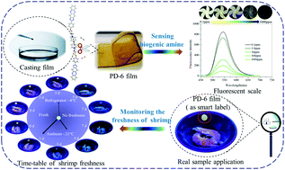 Graphical abstract: Fabrication of a solid sensor based on a phenazine derivative film for enhancing the sensing properties of biogenic amine and applying for monitoring shrimp freshness