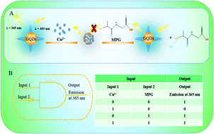 Graphical abstract: Graphene quantum dots as nanosensor for rapid and label-free dual detection of Cu2+ and tiopronin by means of fluorescence “on–off–on” switching: mechanism and molecular logic gate