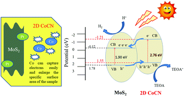 Graphical abstract: Construction of a 2D/2D heterojunction via integrating MoS2 on Co-doped g-C3N4 to improve photocatalytic hydrogen evolution under visible light irradiation