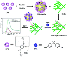 Graphical abstract: Pillar[6]arene-modified gold nanoparticles grafted on cellulose nanocrystals for the electrochemical detection of bisphenol A
