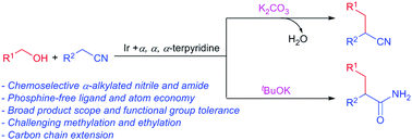 Graphical abstract: Base-controlled chemoselectivity: direct coupling of alcohols and acetonitriles to synthesise α-alkylated arylacetonitriles or acetamides