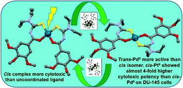 Graphical abstract: Photoactive PtII and PdII complexes of N,N-diethyl-N′-3,4,5-trimethoxybenzoylthiourea: synthesis, crystal structures, DFT and cytotoxicity studies